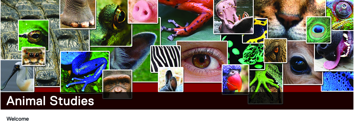 baskic template: animal studies shared header